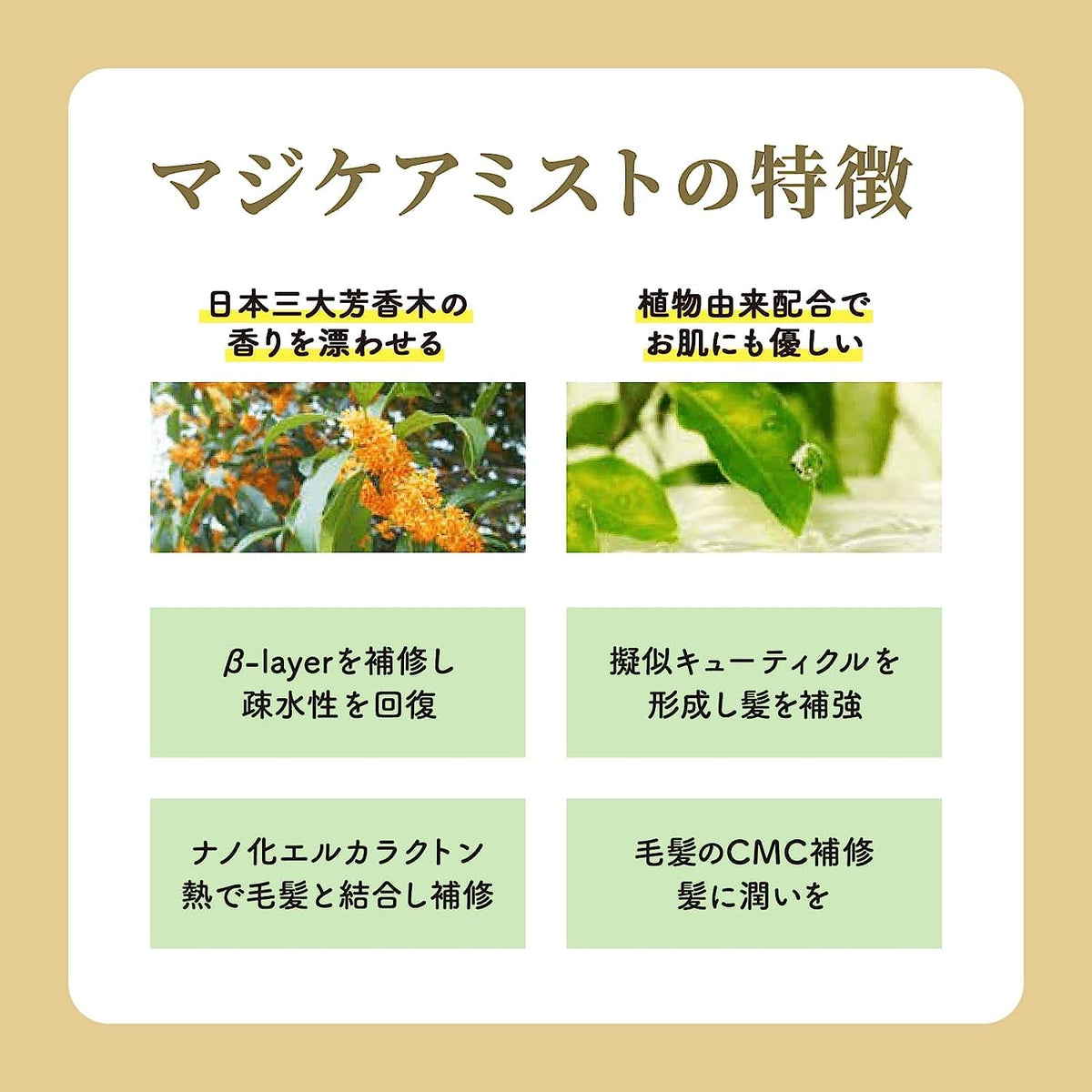 マジケアミスト