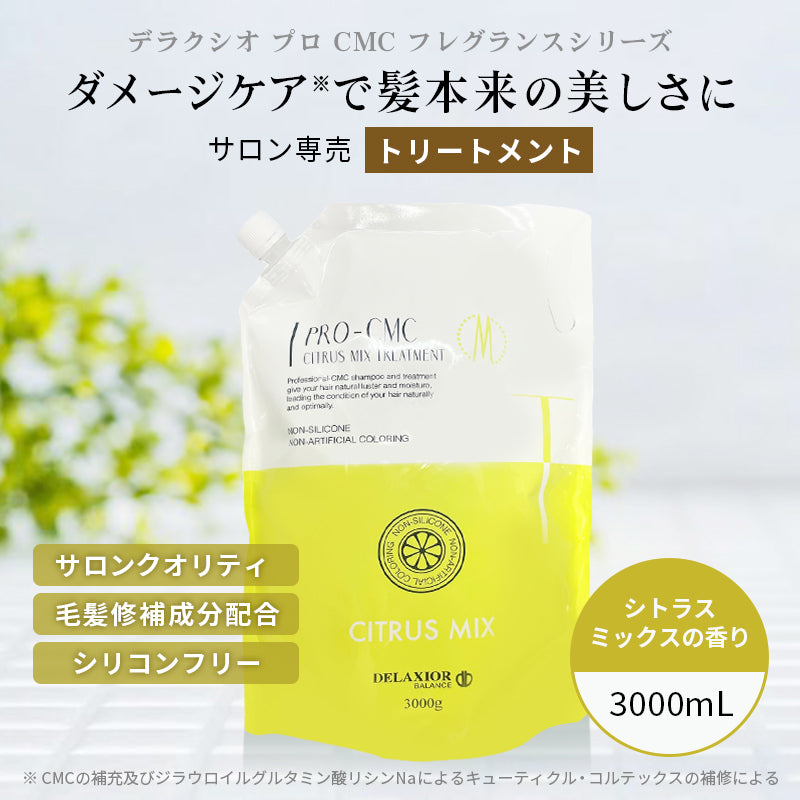 デラクシオ プロ CMC トリートメント ノンシリコン 3000g リフィル(詰替え)
