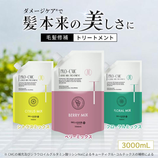 デラクシオ プロ CMC トリートメント ノンシリコン 3000g リフィル(詰替え)